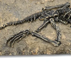 Life Easy Supply Antique Resin Dinosaur Fossil Wall Hanging Decoration Other Products